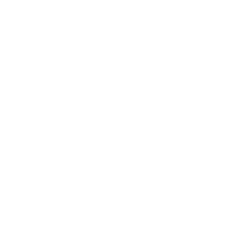 Prince St. Pizza